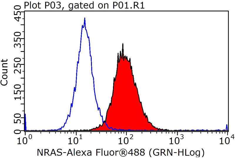 1X10^6 HepG2 cells were stained with .2ug NRAS antibody (Catalog No:113271, red) and control antibody (blue). Fixed with 90% MeOH blocked with 3% BSA (30 min). Alexa Fluor 488-congugated AffiniPure Goat Anti-Rabbit IgG(H+L) with dilution 1:1000.