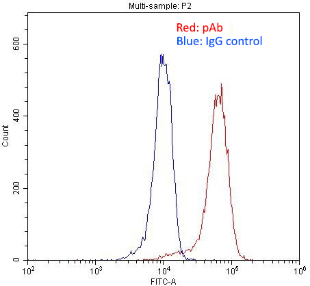 1X10^6 SH-SY5Y cells were stained with 0.2ug PAX6 antibody (Catalog No:113607, red) and control antibody (blue). Fixed with 4% PFA blocked with 3% BSA (30 min). Alexa Fluor 488-congugated AffiniPure Goat Anti-Rabbit IgG(H+L) with dilution 1:1500.