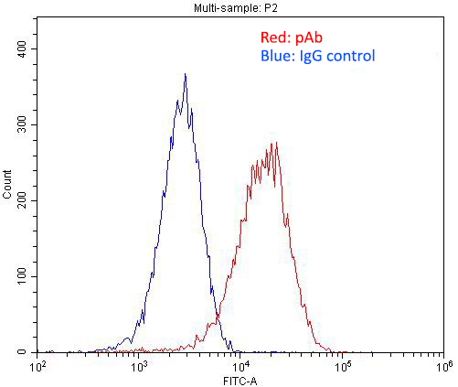 1X10^6 C2C12 cell were stained with 0.2ug ACTA2 antibody (Catalog No:107705, red) and control antibody (blue). Fixed with 4% PFA blocked with 3% BSA (30 min). Alexa Fluor 488-congugated AffiniPure Goat Anti-Rabbit IgG(H+L) with dilution 1:1500.