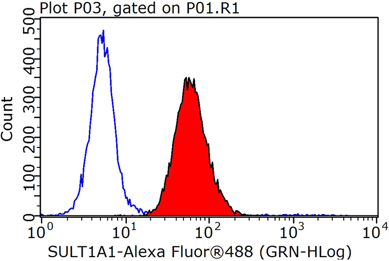 1X10^6 HepG2 cells were stained with 0.2ug SULT1A1 antibody (Catalog No:115825, red) and control antibody (blue). Fixed with 90% MeOH blocked with 3% BSA (30 min). Alexa Fluor 488-congugated AffiniPure Goat Anti-Rabbit IgG(H+L) with dilution 1:1000.