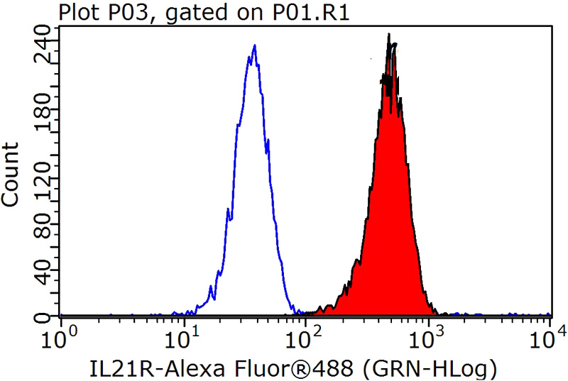 1X10^6 K-562 cells were stained with 0.2ug IL21R antibody (Catalog No:111778, red) and control antibody (blue). Fixed with 90% MeOH blocked with 3% BSA (30 min). Alexa Fluor 488-congugated AffiniPure Goat Anti-Rabbit IgG(H+L) with dilution 1:1000.