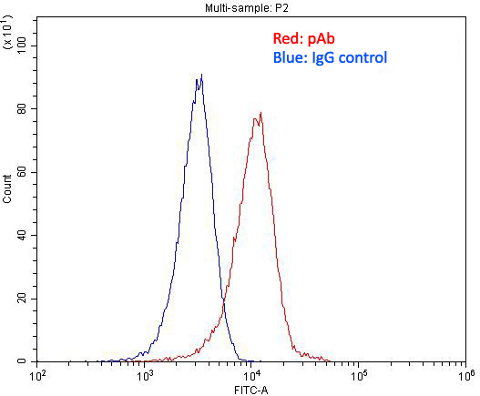 1X10^6 HeLa cells were stained with 0.2ug IL1RAPL1 antibody (Catalog No:111773, red) and control antibody (blue). Fixed with 4% PFA blocked with 3% BSA (30 min). Alexa Fluor 488-congugated AffiniPure Goat Anti-Rabbit IgG(H+L) with dilution 1:1500.