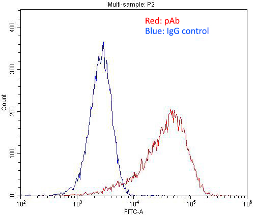 1X10^6 C2C12 cell were stained with 0.2ug Desmin antibody (Catalog No:109897, red) and control antibody (blue). Fixed with 4% PFA blocked with 3% BSA (30 min). Alexa Fluor 488-congugated AffiniPure Goat Anti-Rabbit IgG(H+L) with dilution 1:1500.