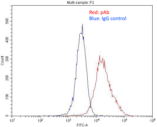 1X10^6 HepG2 cells were stained with .2ug TOMM40 antibody (Catalog No:116173, red) and control antibody (blue). Fixed with 4% PFA blocked with 3% BSA (30 min). Alexa Fluor 488-congugated AffiniPure Goat Anti-Rabbit IgG(H+L) with dilution 1:1500.