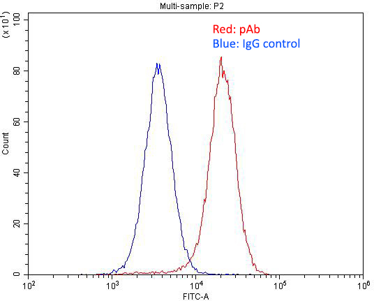 1X10^6 HepG2 cells were stained with 0.2ug GABARAPL1 antibody (Catalog No:110771, red) and control antibody (blue). Fixed with 4% PFA blocked with 3% BSA (30 min). Alexa Fluor 488-congugated AffiniPure Goat Anti-Rabbit IgG(H+L) with dilution 1:1500.