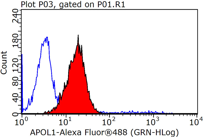 1X10^6 HepG2 cells were stained with 0.2ug APOL1 antibody (Catalog No:108032, red) and control antibody (blue). Fixed with 90% MeOH blocked with 3% BSA (30 min). Alexa Fluor 488-congugated AffiniPure Goat Anti-Rabbit IgG(H+L) with dilution 1:1000.