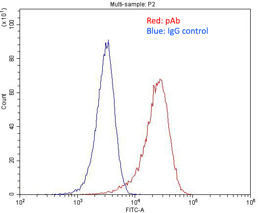 1X10^6 HeLa cells were stained with 0.2ug SSSCA1 antibody (Catalog No:115611, red) and control antibody (blue). Fixed with 4% PFA blocked with 3% BSA (30 min). Alexa Fluor 488-congugated AffiniPure Goat Anti-Rabbit IgG(H+L) with dilution 1:1500.