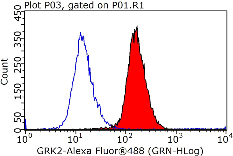 1X10^6 HeLa cells were stained with 0.2ug ADRBK1 antibody (Catalog No:111212, red) and control antibody (blue). Fixed with 90% MeOH blocked with 3% BSA (30 min). Alexa Fluor 488-congugated AffiniPure Goat Anti-Rabbit IgG(H+L) with dilution 1:1000.