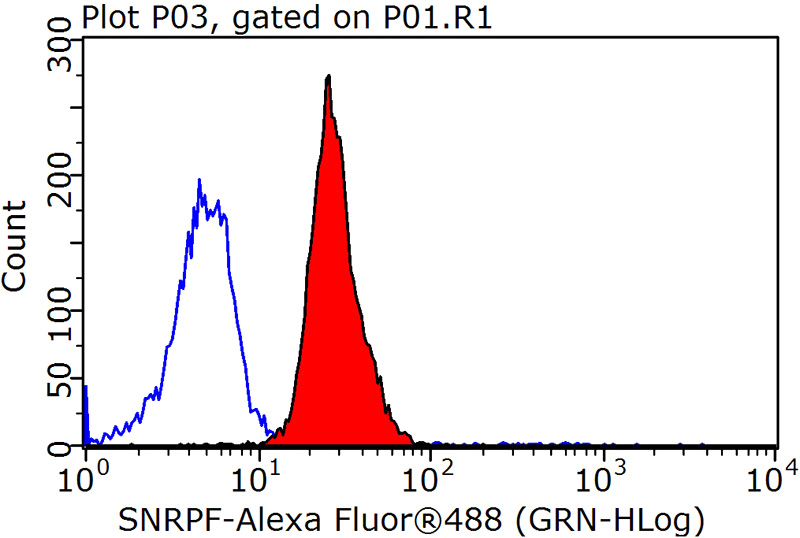1X10^6 MCF-7 cells were stained with 0.2ug SNRPF antibody (Catalog No:115464, red) and control antibody (blue). Fixed with 90% MeOH blocked with 3% BSA (30 min). Alexa Fluor 488-congugated AffiniPure Goat Anti-Rabbit IgG(H+L) with dilution 1:1500.