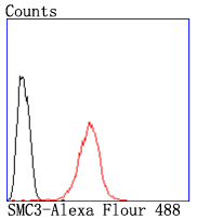 Fig9: Flow cytometric analysis of Hela cells with SMC3 antibody at 1/50 dilution (red) compared with an unlabelled control (cells without incubation with primary antibody; black). Alexa Fluor 488-conjugated goat anti rabbit IgG was used as the secondary a