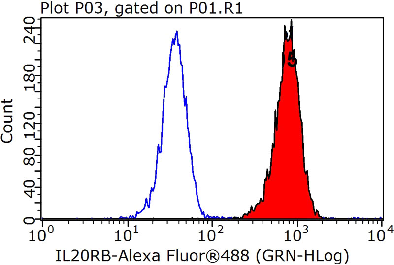 1X10^6 K-562 cells were stained with 0.2ug IL20RB antibody (Catalog No:111776, red) and control antibody (blue). Fixed with 90% MeOH blocked with 3% BSA (30 min). Alexa Fluor 488-congugated AffiniPure Goat Anti-Rabbit IgG(H+L) with dilution 1:1000.