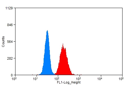 1X10^6 HeLa cells were stained with 0.2ug LSS antibody (Catalog No:112355, red) and control antibody (blue). Fixed with 90% MeOH blocked with 3% BSA (30 min). Alexa Fluor 488-congugated AffiniPure Goat Anti-Rabbit IgG(H+L) with dilution 1:1500.