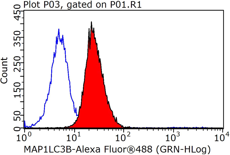 1X10^6 HeLa cells were stained with 0.2ug LC3B-Specific antibody (Catalog No:112166, red) and control antibody (blue). Fixed with 90% MeOH blocked with 3% BSA (30 min). Alexa Fluor 488-congugated AffiniPure Goat Anti-Rabbit IgG(H+L) with dilution 1:1000.