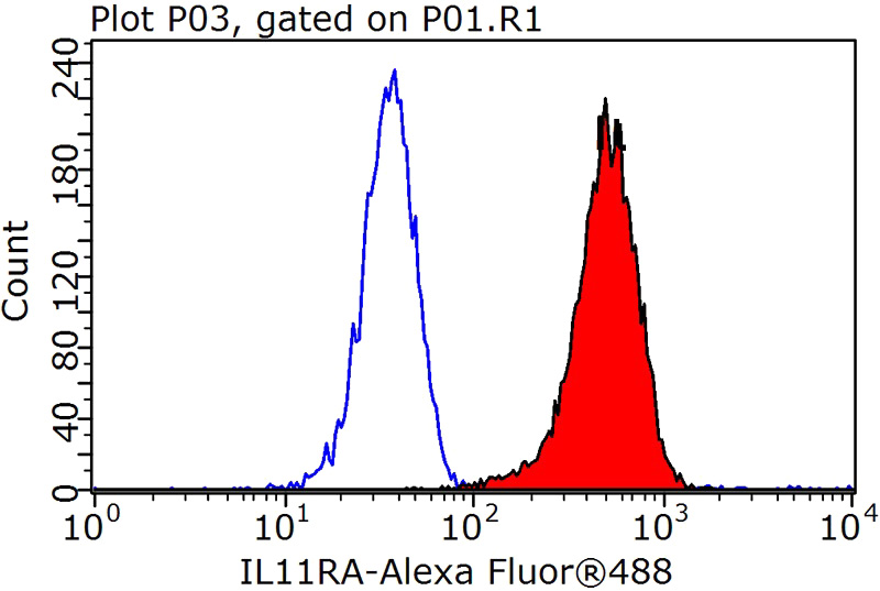 1X10^6 K-562 cells were stained with 0.2ug IL11RA antibody (Catalog No:111659, red) and control antibody (blue). Fixed with 90% MeOH blocked with 3% BSA (30 min). Alexa Fluor 488-congugated AffiniPure Goat Anti-Rabbit IgG(H+L) with dilution 1:1000.