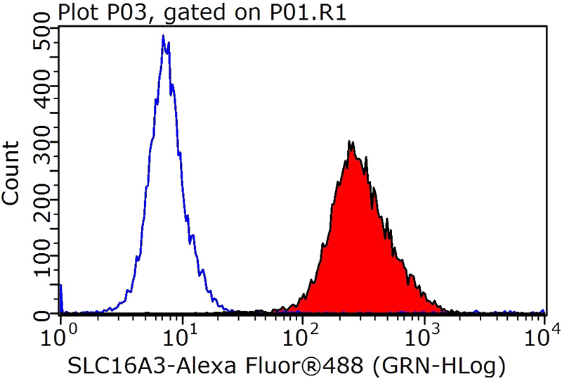 1X10^6 HepG2 cells were stained with 0.2ug SLC16A3 antibody (Catalog No:112563, red) and control antibody (blue). Fixed with 90% MeOH blocked with 3% BSA (30 min). Alexa Fluor 488-congugated AffiniPure Goat Anti-Rabbit IgG(H+L) with dilution 1:1000.