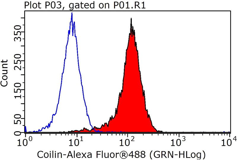 1X10^6 HEK-293T cells were stained with 0.2ug COIL antibody (Catalog No:109372, red) and control antibody (blue). Fixed with 90% MeOH blocked with 3% BSA (30 min). Alexa Fluor 488-congugated AffiniPure Goat Anti-Rabbit IgG(H+L) with dilution 1:1000.