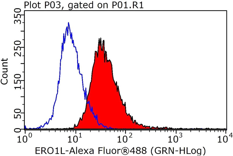 1X10^6 HeLa cells were stained with 0.2ug ERO1L antibody (Catalog No:110369, red) and control antibody (blue). Fixed with 90% MeOH blocked with 3% BSA (30 min). Alexa Fluor 488-congugated AffiniPure Goat Anti-Rabbit IgG(H+L) with dilution 1:1000.