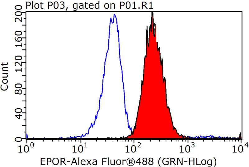 1X10^6 HeLa cells were stained with 0.2ug EPOR antibody (Catalog No:110391, red) and control antibody (blue). Fixed with 90% MeOH blocked with 3% BSA (30 min). Alexa Fluor 488-congugated AffiniPure Goat Anti-Rabbit IgG(H+L) with dilution 1:1000.