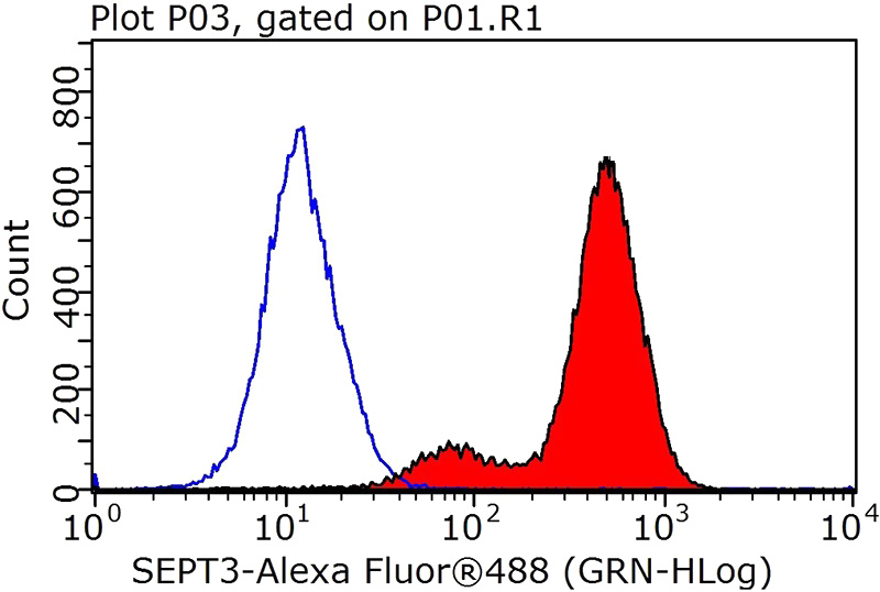 1X10^6 MCF-7 cells were stained with 0.2ug SEPT2 antibody (Catalog No:115117, red) and control antibody (blue). Fixed with 90% MeOH blocked with 3% BSA (30 min). Alexa Fluor 488-congugated AffiniPure Goat Anti-Rabbit IgG(H+L) with dilution 1:1000.