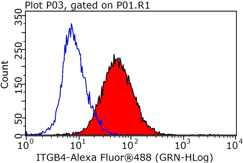 1X10^6 HeLa cells were stained with 0.2ug Integrin beta-4 antibody (Catalog No:111864, red) and control antibody (blue). Fixed with 90% MeOH blocked with 3% BSA (30 min). Alexa Fluor 488-congugated AffiniPure Goat Anti-Rabbit IgG(H+L) with dilution 1:1000.