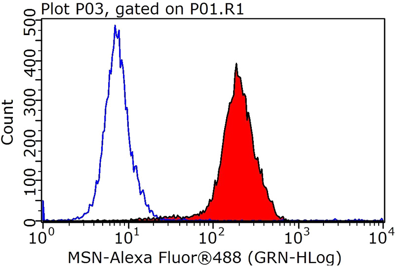 1X10^6 HepG2 cells were stained with 0.2ug MSN antibody (Catalog No:112726, red) and control antibody (blue). Fixed with 90% MeOH blocked with 3% BSA (30 min). Alexa Fluor 488-congugated AffiniPure Goat Anti-Rabbit IgG(H+L) with dilution 1:1000.