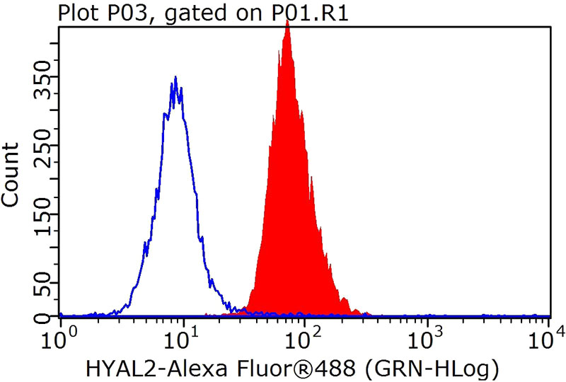 1X10^6 HeLa cells were stained with 0.2ug HYAL2 antibody (Catalog No:111575, red) and control antibody (blue). Fixed with 90% MeOH blocked with 3% BSA (30 min). FITC-Goat anti-Rabbit IgG with dilution 1:100.