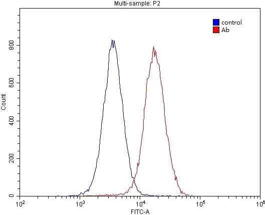 1X10^6 HepG2 cells were stained with 0.2ug GABARAPL2-Specific antibody (Catalog No:110802, red) and control antibody (blue). Fixed with 4% PFA blocked with 3% BSA (30 min). Alexa Fluor 488-congugated AffiniPure Goat Anti-Rabbit IgG(H+L) with dilution 1:1500.
