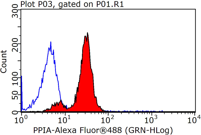 1X10^6 HeLa cells were stained with 0.2ug CYPA antibody (Catalog No:109673, red) and control antibody (blue). Fixed with 90% MeOH blocked with 3% BSA (30 min). Alexa Fluor 488-congugated AffiniPure Goat Anti-Rabbit IgG(H+L) with dilution 1:1000.