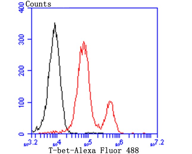 Fig2: Flow cytometric analysis of Jurkat cells with T-bet antibody at 1/100 dilution (red) compared with an unlabelled control (cells without incubation with primary antibody; black). Alexa Fluor 488-conjugated goat anti-rabbit IgG was used as the secondary antibody.