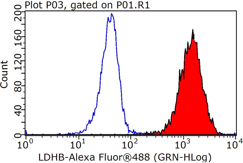 1X10^6 HeLa cells were stained with 0.2ug LDHB antibody (Catalog No:112184, red) and control antibody (blue). Fixed with 90% MeOH blocked with 3% BSA (30 min). Alexa Fluor 488-congugated AffiniPure Goat Anti-Rabbit IgG(H+L) with dilution 1:1000.