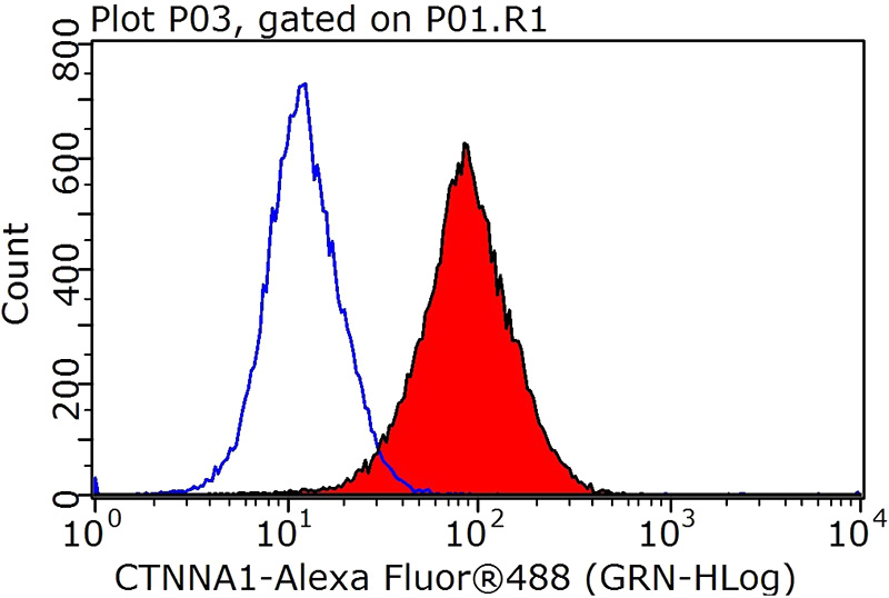 1X10^6 MCF-7 cells were stained with 0.2ug CTNNA1 antibody (Catalog No:107869, red) and control antibody (blue). Fixed with 90% MeOH blocked with 3% BSA (30 min). Alexa Fluor 488-congugated AffiniPure Goat Anti-Rabbit IgG(H+L) with dilution 1:1000.