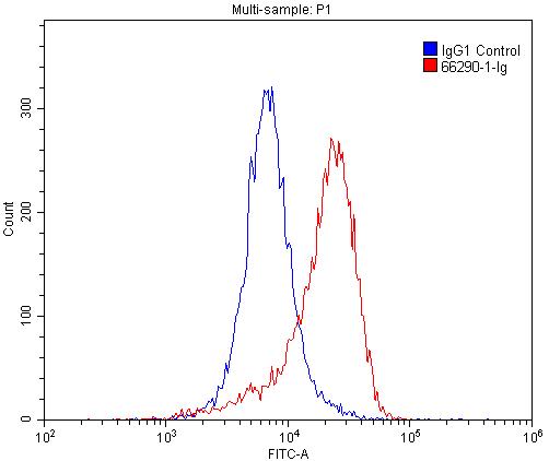 1X10^6 Jurkat cells were stained with 0.2ug SLC2A1,GLUT1 antibody (Catalog No:107300, red) and control antibody (blue). Fixed with 4% PFA blocked with 3% BSA (30 min). Alexa Fluor 488-congugated AffiniPure Goat Anti-Mouse IgG(H+L) with dilution 1:1500.