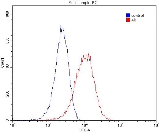 1X10^6 HeLa cells were stained with 0.2ug WNT3 antibody (Catalog No:116835, red) and control antibody (blue). Fixed with 4% PFA blocked with 3% BSA (30 min). Alexa Fluor 488-congugated AffiniPure Goat Anti-Rabbit IgG(H+L) with dilution 1:1500.