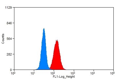 1X10^6 HeLa cells were stained with 0.2ug P21;CDKN1A antibody (Catalog No:113540, red) and control antibody (blue). Fixed with 90% MeOH blocked with 3% BSA (30 min). Alexa Fluor 488-congugated AffiniPure Goat Anti-Rabbit IgG(H+L) with dilution 1:1500.