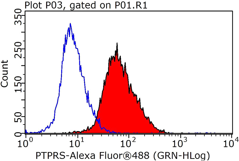 1X10^6 HeLa cells were stained with 0.2ug rPTPσ antibody (Catalog No:114330, red) and control antibody (blue). Fixed with 90% MeOH blocked with 3% BSA (30 min). Alexa Fluor 488-congugated AffiniPure Goat Anti-Rabbit IgG(H+L) with dilution 1:1000.