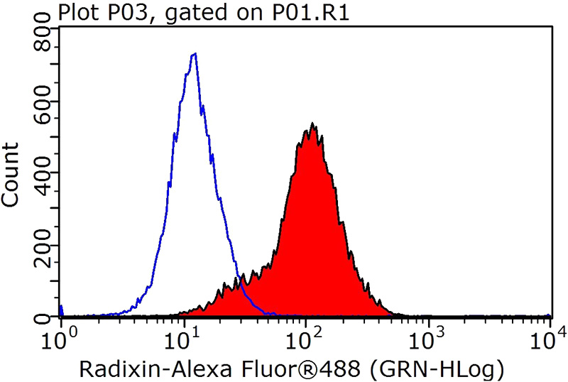1X10^6 MCF-7 cells were stained with 0.2ug RDX antibody (Catalog No:114521, red) and control antibody (blue). Fixed with 90% MeOH blocked with 3% BSA (30 min). Alexa Fluor 488-congugated AffiniPure Goat Anti-Rabbit IgG(H+L) with dilution 1:1000.