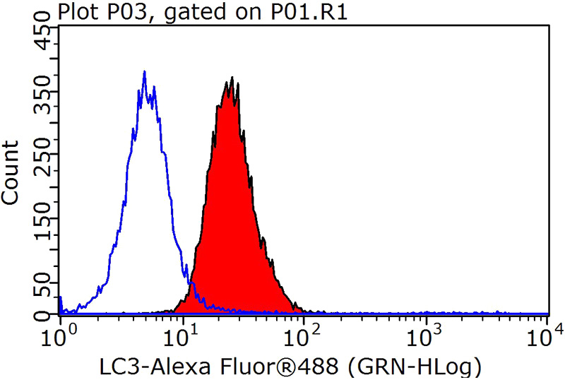 1X10^6 HeLa cells were stained with 0.2ug LC3 antibody (Catalog No:112164, red) and control antibody (blue). Fixed with 90% MeOH blocked with 3% BSA (30 min). Alexa Fluor 488-congugated AffiniPure Goat Anti-Rabbit IgG(H+L) with dilution 1:1000.