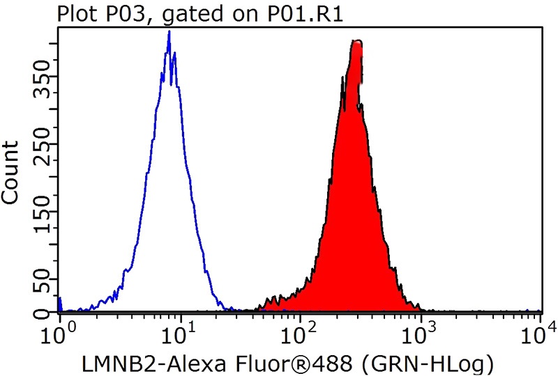 1X10^6 HEK-293T cells were stained with 0.2ug LMNB2 antibody (Catalog No:112282, red) and control antibody (blue). Fixed with 90% MeOH blocked with 3% BSA (30 min). Alexa Fluor 488-congugated AffiniPure Goat Anti-Rabbit IgG(H+L) with dilution 1:1000.