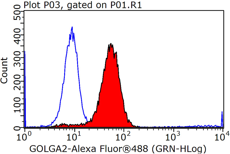 1X10^6 HEK-293 cells were stained with 0.2ug GM130;GOLGA2 antibody (Catalog No:111014, red) and control antibody (blue). Fixed with 90% MeOH blocked with 3% BSA (30 min). Alexa Fluor 488-congugated AffiniPure Goat Anti-Rabbit IgG(H+L) with dilution 1:1000.