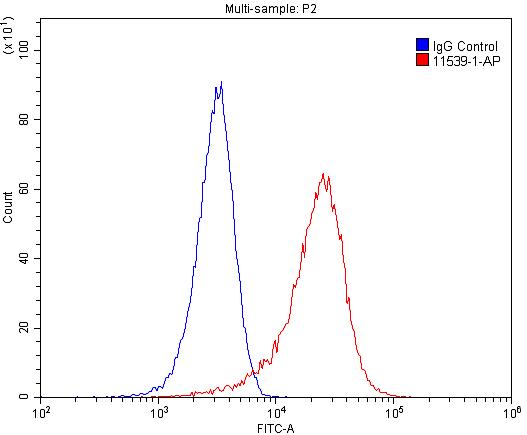 1X10^6 HeLa cells were stained with 0.2ug MAGED1 antibody (Catalog No:112389, red) and control antibody (blue). Fixed with 4% PFA blocked with 3% BSA (30 min). Alexa Fluor 488-congugated AffiniPure Goat Anti-Rabbit IgG(H+L) with dilution 1:1500.