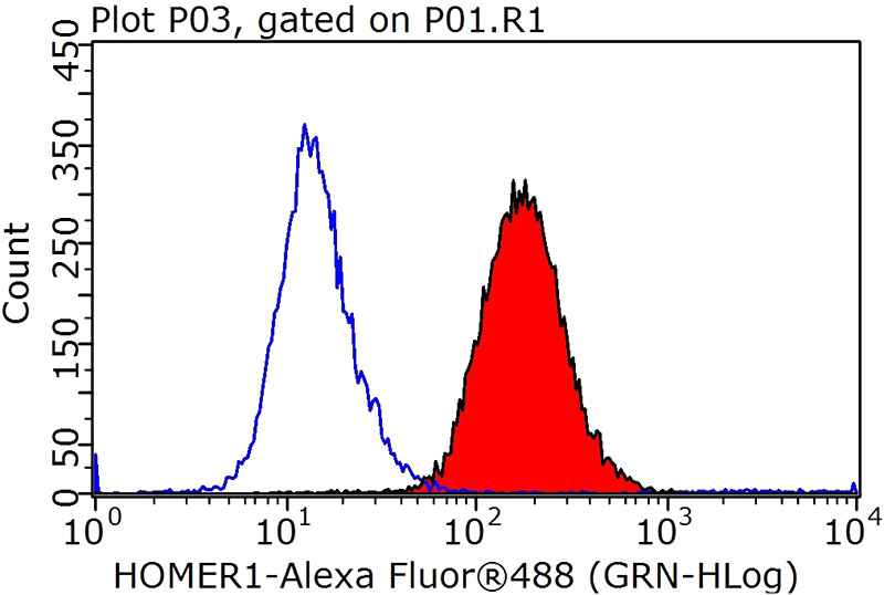 1X10^6 HeLa cells were stained with 0.2ug HOMER1 antibody (Catalog No:111517, red) and control antibody (blue). Fixed with 90% MeOH blocked with 3% BSA (30 min). Alexa Fluor 488-congugated AffiniPure Goat Anti-Rabbit IgG(H+L) with dilution 1:1000.