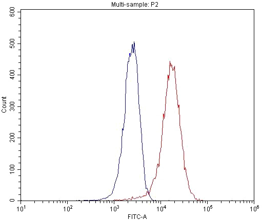 1X10^6 HepG2 cells were stained with 0.2ug SHH antibody (Catalog No:115273, red) and control antibody (blue). Fixed with 4% PFA blocked with 3% BSA (30 min). Alexa Fluor 488-congugated AffiniPure Goat Anti-Rabbit IgG(H+L) with dilution 1:1500.