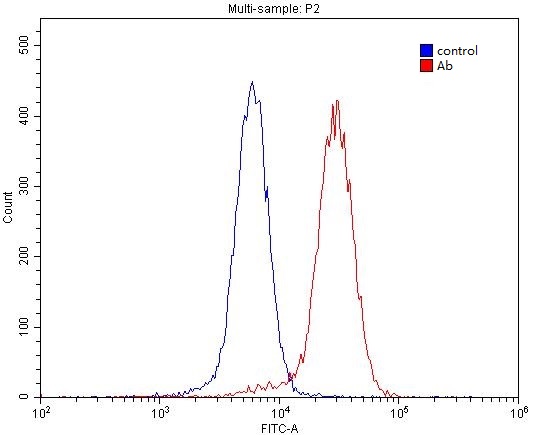 1X10^6 SH-SY5Y cells were stained with 0.2ug DRD5 antibody (Catalog No:110017, red) and control antibody (blue). Fixed with 4% PFA blocked with 3% BSA (30 min). Alexa Fluor 488-congugated AffiniPure Goat Anti-Rabbit IgG(H+L) with dilution 1:1500.