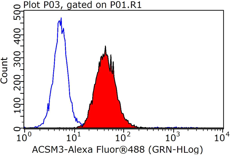 1X10^6 HepG2 cells were stained with 0.2ug ACSM3 antibody (Catalog No:107700, red) and control antibody (blue). Fixed with 90% MeOH blocked with 3% BSA (30 min). Alexa Fluor 488-congugated AffiniPure Goat Anti-Rabbit IgG(H+L) with dilution 1:1000.