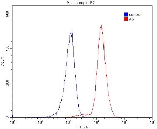1X10^6 Raji cells were stained with 0.2ug LCP1 antibody (Catalog No:112306, red) and control antibody (blue). Fixed with 4% PFA blocked with 3% BSA (30 min). Alexa Fluor 488-congugated AffiniPure Goat Anti-Rabbit IgG(H+L) with dilution 1:1500.