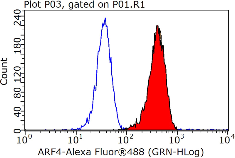 1X10^6 K-562 cells were stained with 0.2ug ARF4 antibody (Catalog No:108246, red) and control antibody (blue). Fixed with 90% MeOH blocked with 3% BSA (30 min). Alexa Fluor 488-congugated AffiniPure Goat Anti-Rabbit IgG(H+L) with dilution 1:1000.
