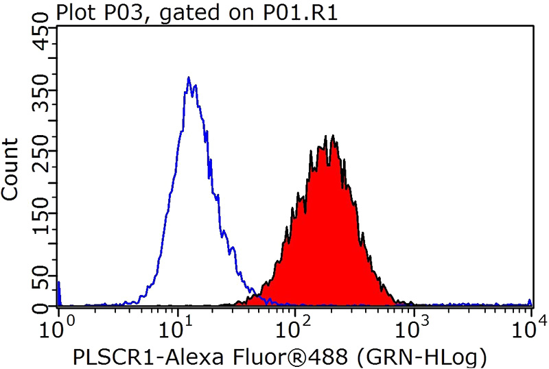 1X10^6 HeLa cells were stained with 0.2ug PLSCR1 antibody (Catalog No:114012, red) and control antibody (blue). Fixed with 90% MeOH blocked with 3% BSA (30 min). Alexa Fluor 488-congugated AffiniPure Goat Anti-Rabbit IgG(H+L) with dilution 1:1000.