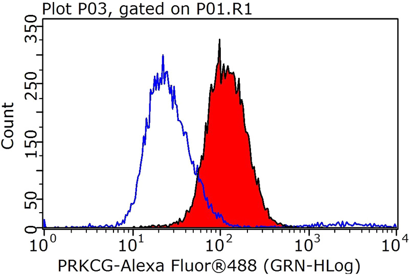 1X10^6 HeLa cells were stained with 1ug PRKCG antibody (Catalog No:113851, red) and control antibody (blue). Fixed with 90% MeOH blocked with 3% BSA (30 min). Alexa Fluor 488-congugated AffiniPure Goat Anti-Rabbit IgG(H+L) with dilution 1:1000.