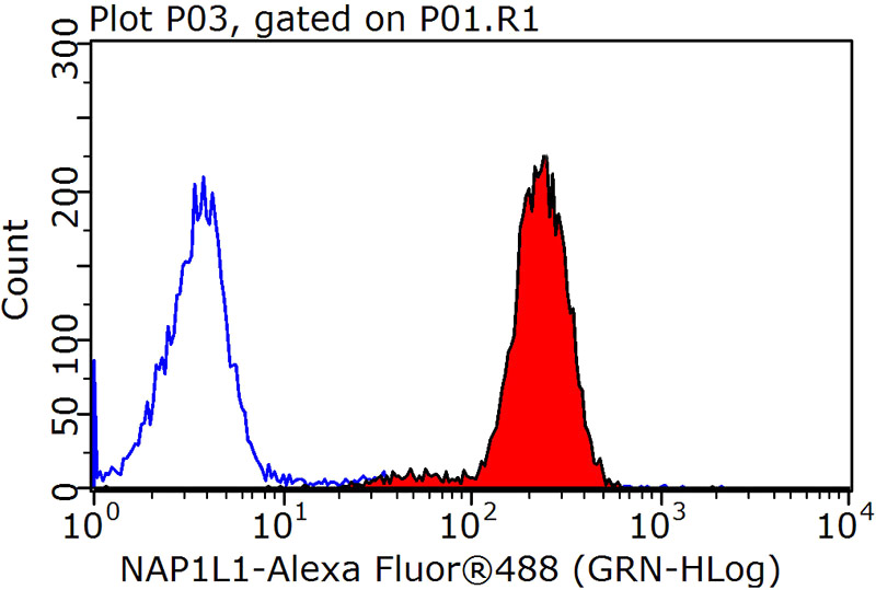 1X10^6 MCF-7 cells were stained with 0.2ug NAP1L1 antibody (Catalog No:112945, red) and control antibody (blue). Fixed with 90% MeOH blocked with 3% BSA (30 min). Alexa Fluor 488-congugated AffiniPure Goat Anti-Rabbit IgG(H+L) with dilution 1:1500.