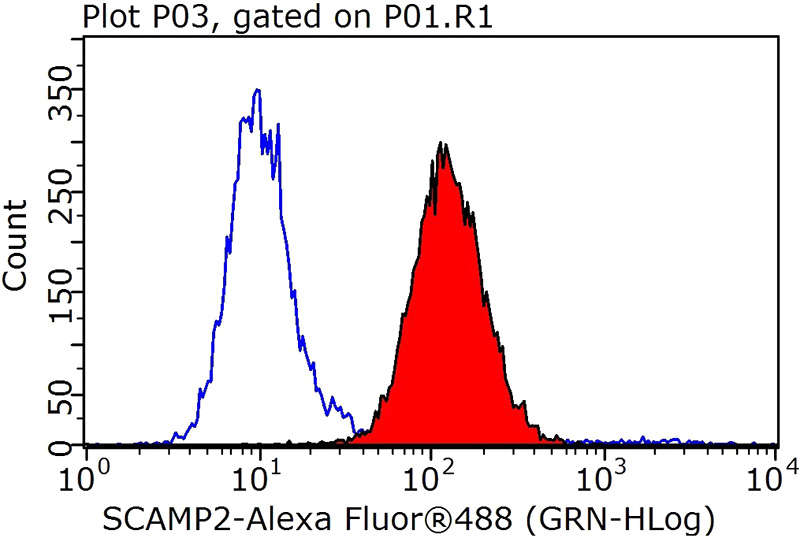 1X10^6 HEK-293 cells were stained with 0.2ug SCAMP2 antibody (Catalog No:114983, red) and control antibody (blue). Fixed with 90% MeOH blocked with 3% BSA (30 min). Alexa Fluor 488-congugated AffiniPure Goat Anti-Rabbit IgG(H+L) with dilution 1:1000.